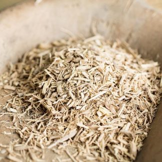 paracelsus_taigawurzel