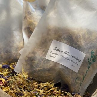 9501e3b0-8322-4db6-bb53-21a4ae904e01