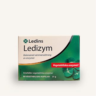 Ledizym.jpg
